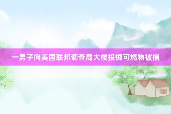 一男子向美国联邦调查局大楼投掷可燃物被捕
