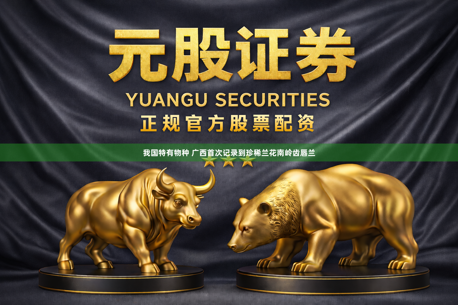我国特有物种 广西首次记录到珍稀兰花南岭齿唇兰